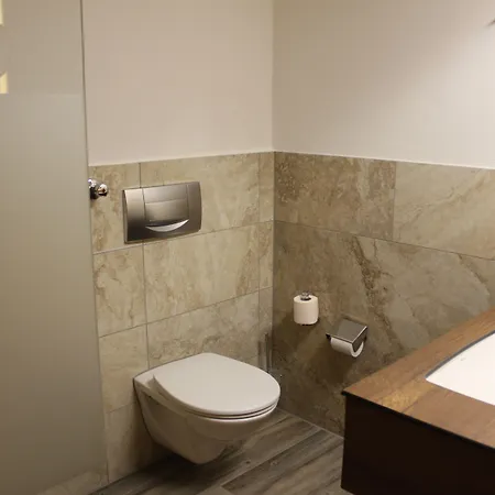 Rheinbruecke فندق 3*