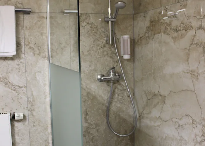 Rheinbruecke 라인펠덴