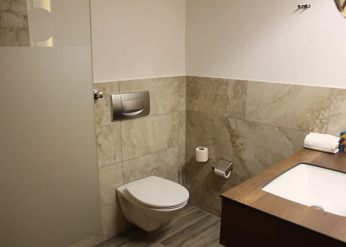 Rheinbruecke 호텔 3*